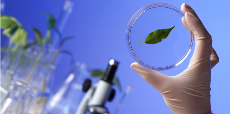 生物技术研发:驱动生物经济时代的核心引擎