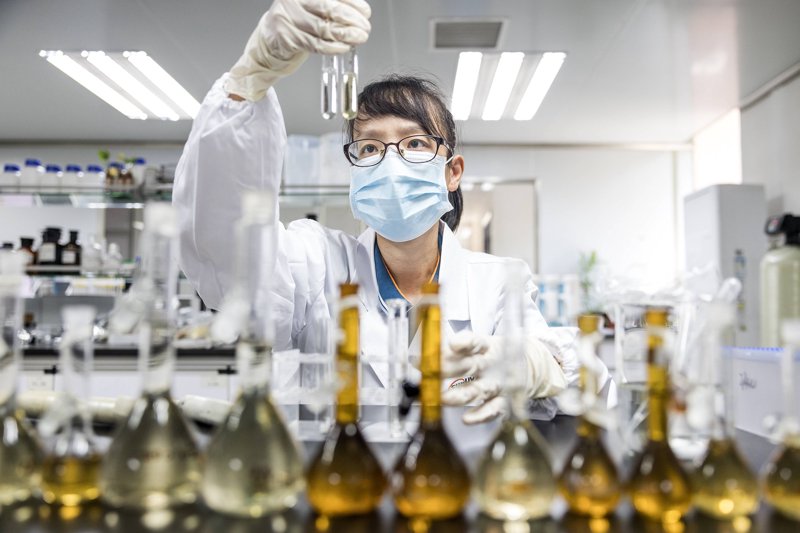 生物技术研发：从实验室突破到产业落地的完整路径解析